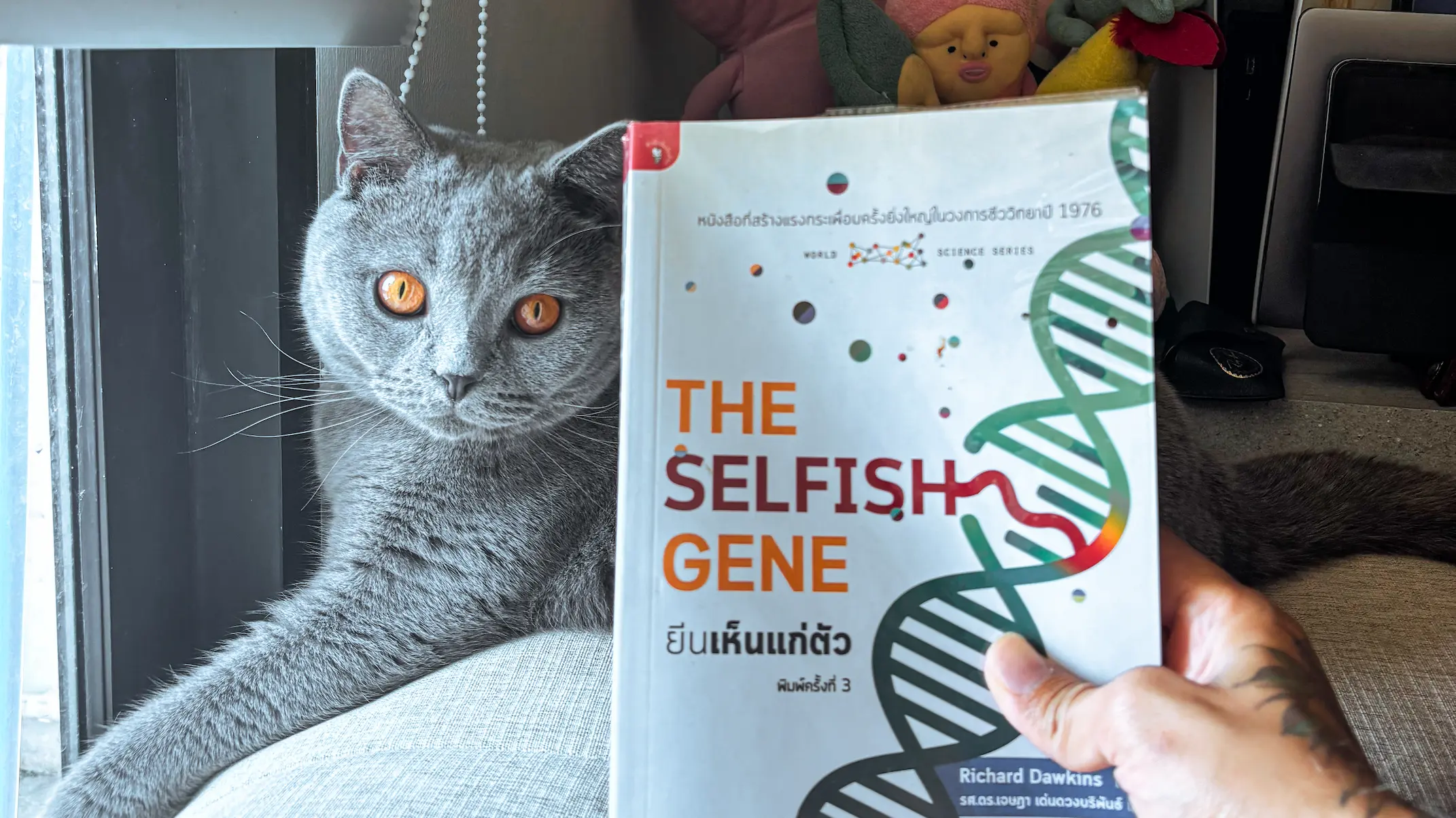 Photo of me holding the book with my cat in the background