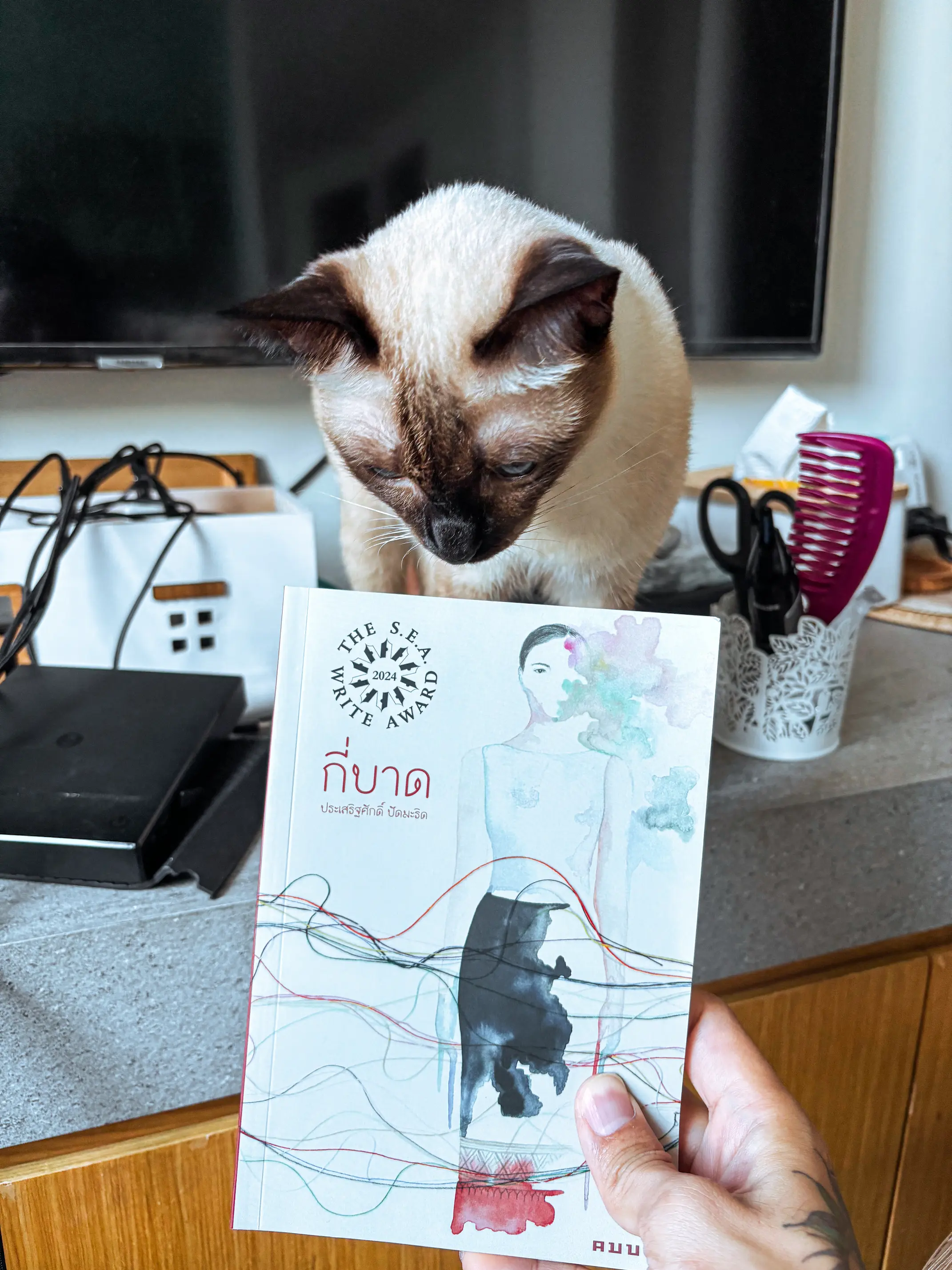 The book cover