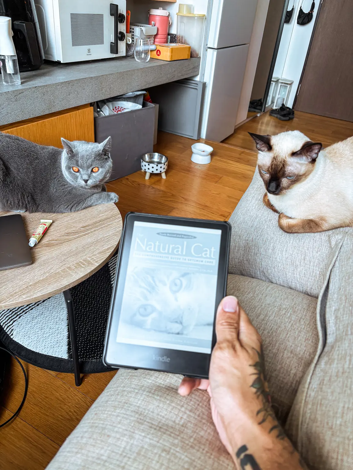 The book cover