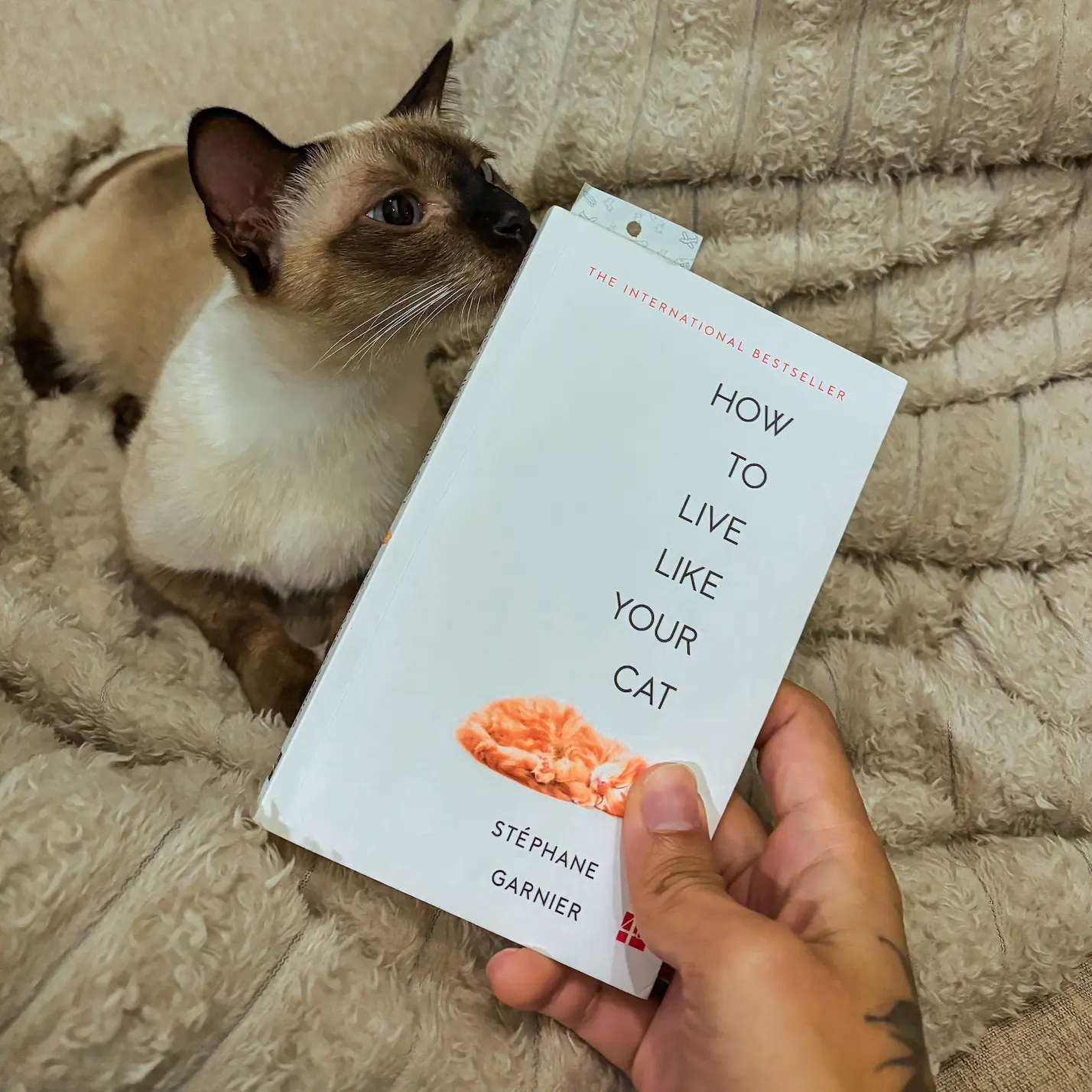 The book cover and my girl